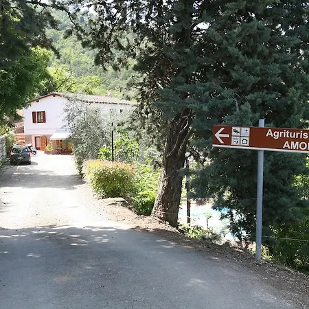 Amoliv Cavriglia