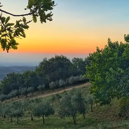 Amoliv Bed & Breakfast Cavriglia